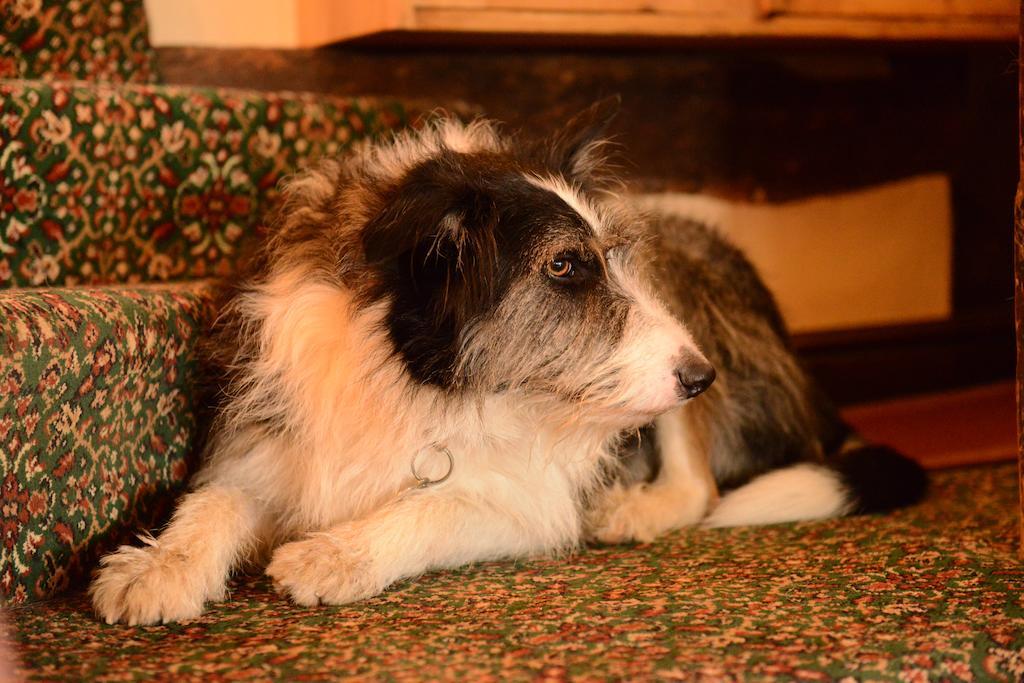 Badgers Hall Chipping Campden Zewnętrze zdjęcie