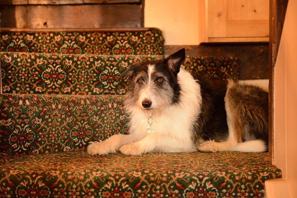 Badgers Hall Chipping Campden Zewnętrze zdjęcie